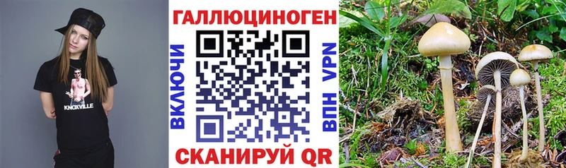 Галлюциногенные грибы мухоморы  Абинск 