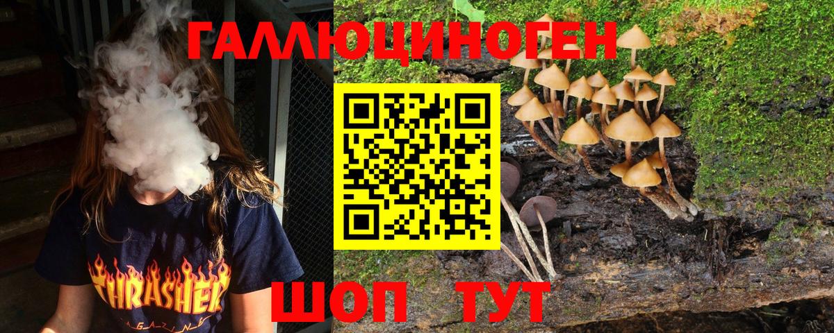Абинск  Галлюциногенные грибы мухоморы  где продают   Вход с VPN  Галлюциногенные грибы прущие грибы 