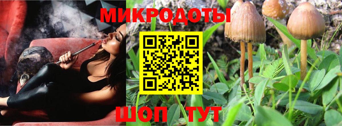 Псилоцибиновые грибы Cubensis Абинск